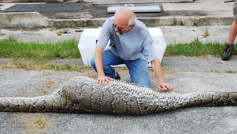 Native Wildlife Declines