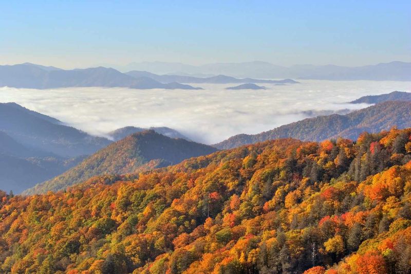 Seasonality That Shines