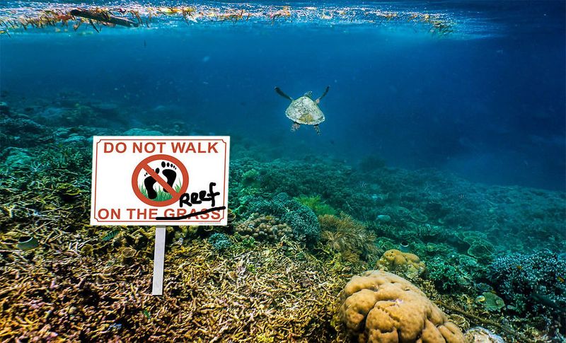 Environmental damage adds up