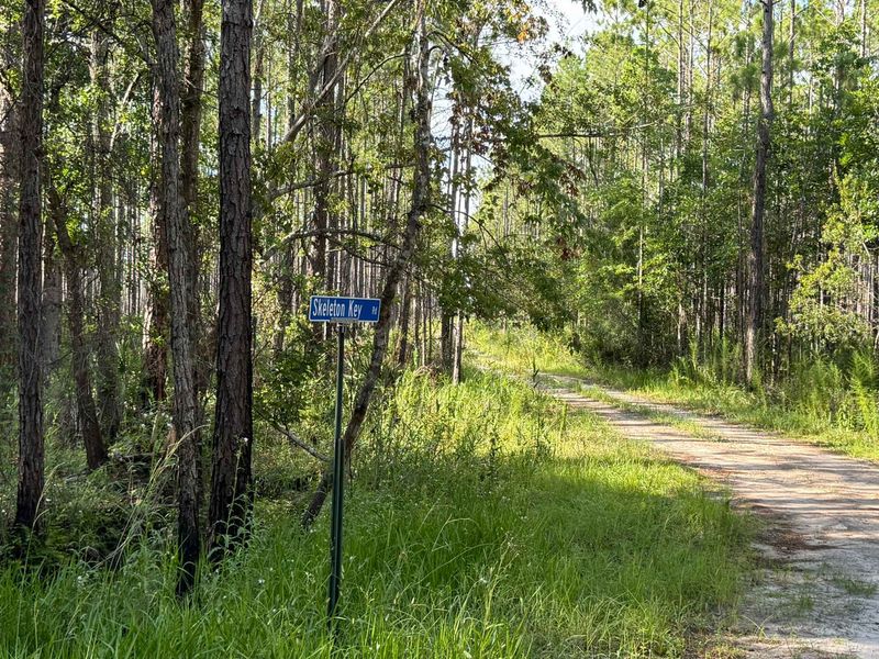 Jekyll Island's Protected Trails