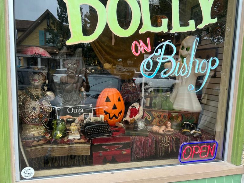 Dolly Python - Quirky Statement Pieces