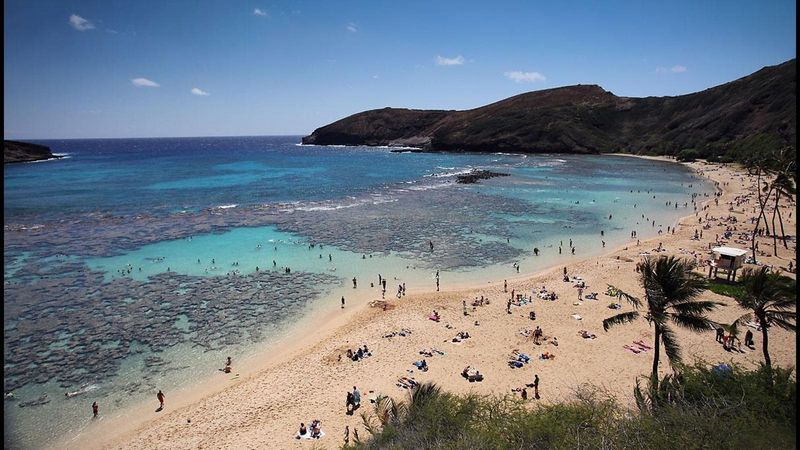 Development And Runoff Threaten Reefs