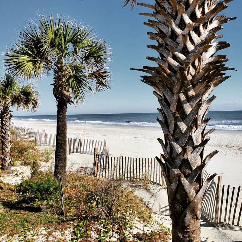 Pawleys Island: Timeless Coastal Charm