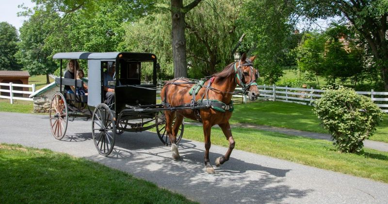 Day 2: Lancaster County Farms And Amish Country