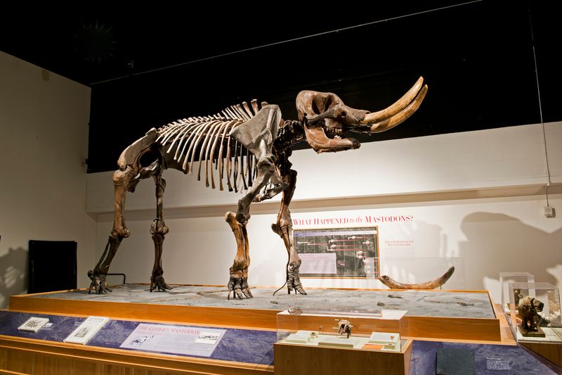 Day 3: New York State Museum (Albany)