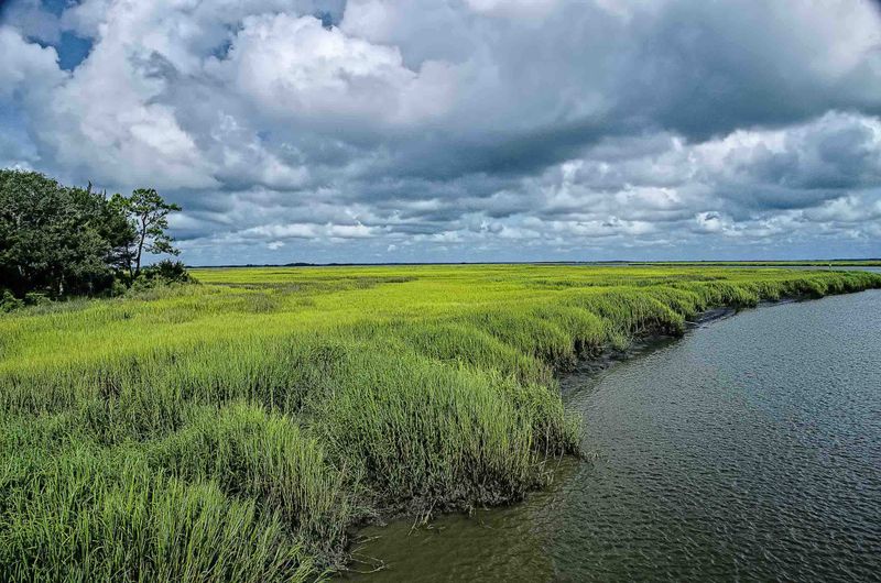 Day 5: Memory, Resistance & Waters, St. Simons Island / Glynn County