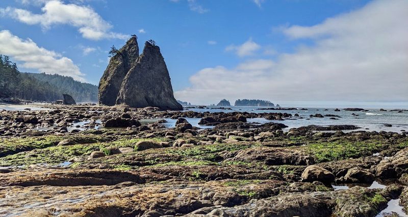 Rialto Beach, Olympic National Park (near Mora area)