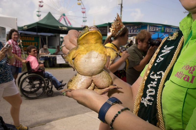 Nutria Skinning And Frog Races