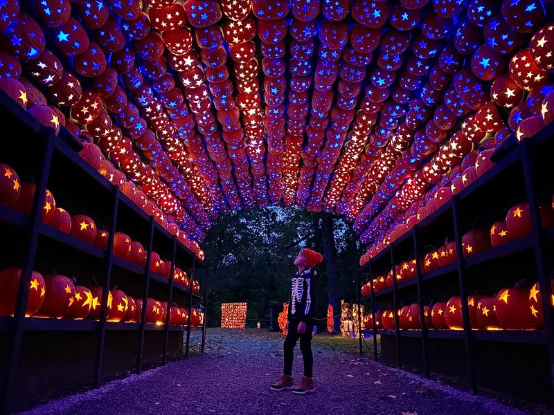 Large-scale pumpkin spectacles