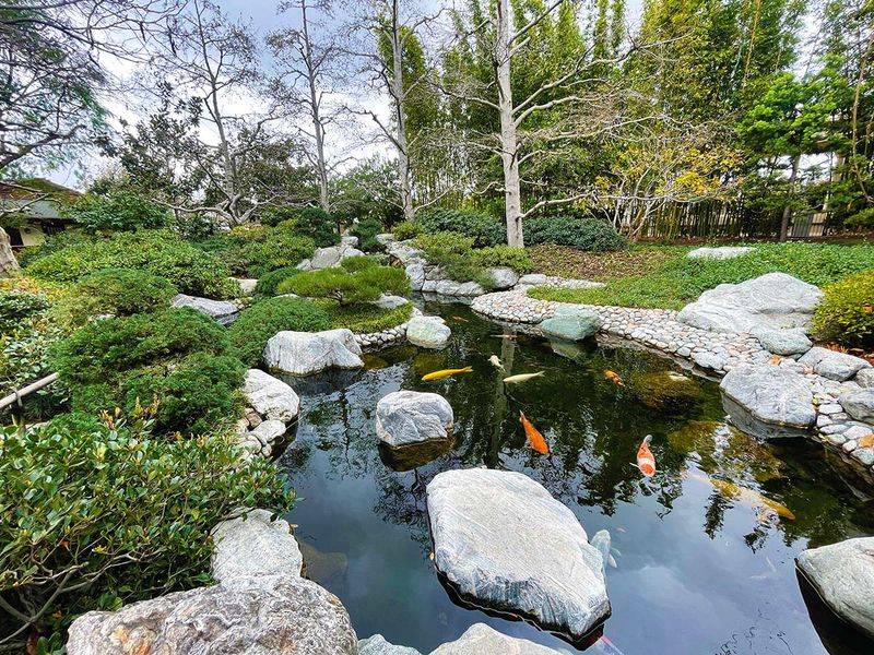 Gardens, Koi Ponds, and Cultural Performances
