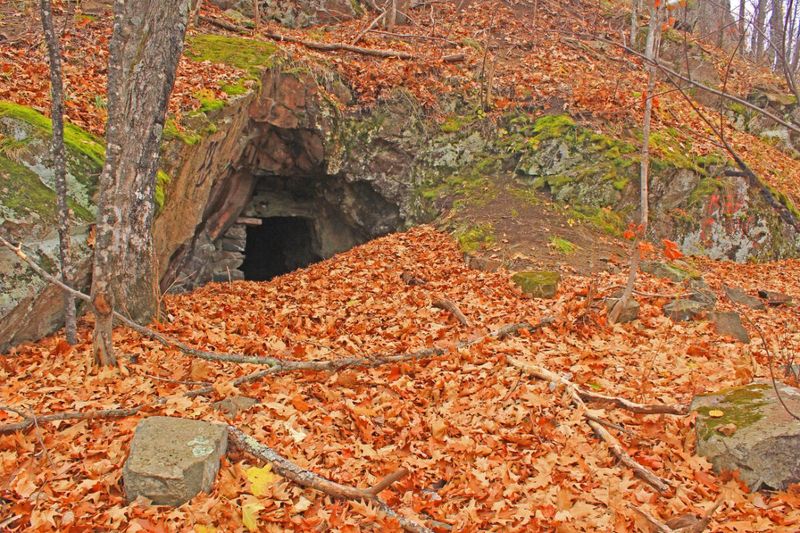 Victoria: The Wilderness Mining Outpost