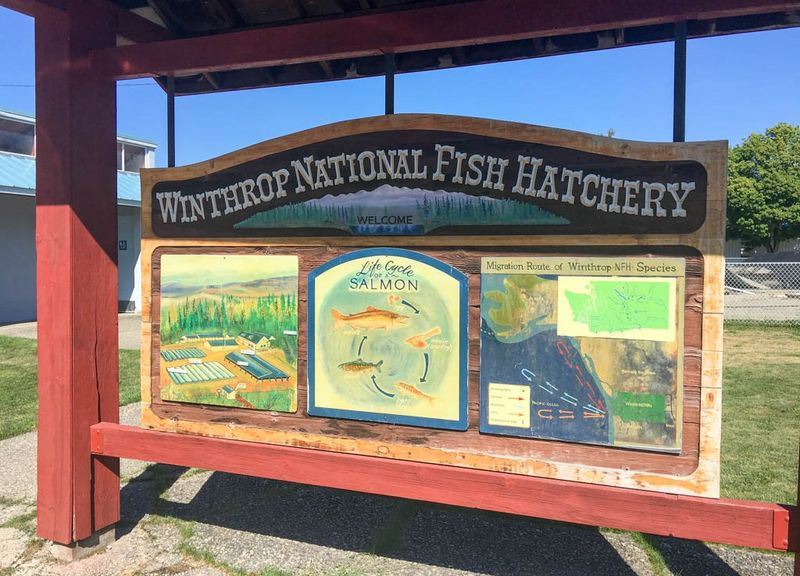 Winthrop National Fish Hatchery Educational Experience