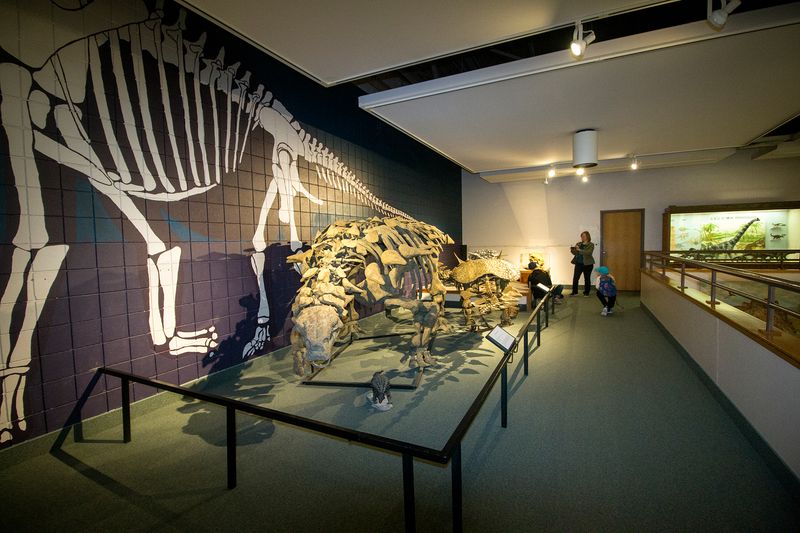 Price, The museum that never closes completely