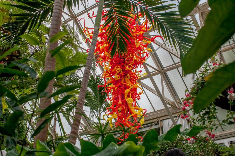 Morning at Franklin Park Conservatory & Botanical Gardens