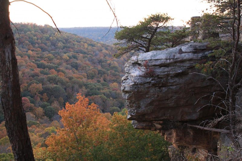 Hike and Camp at Nearby Buck's Pocket State Park