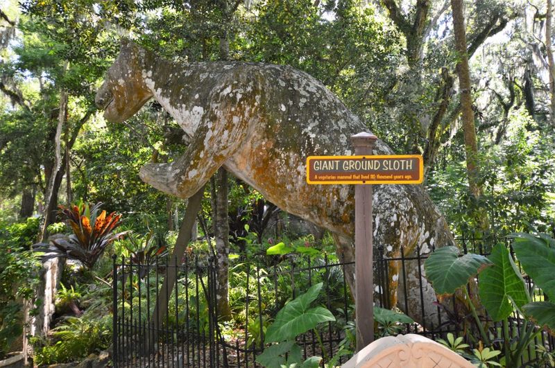 Bongoland: Where Dinosaurs Meet Botanical Beauty