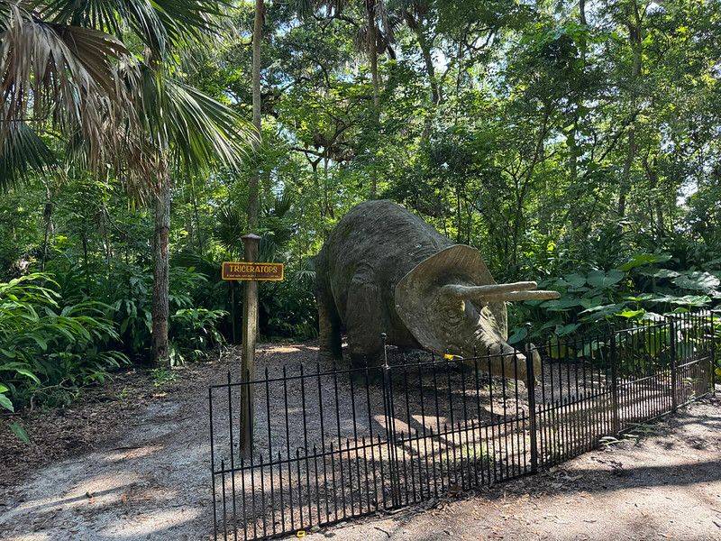 Bongoland / Dunlawton Sugar Mill Gardens (Port Orange)
