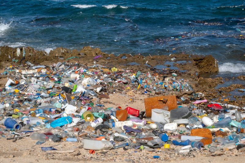 Increased Noise and Pollution