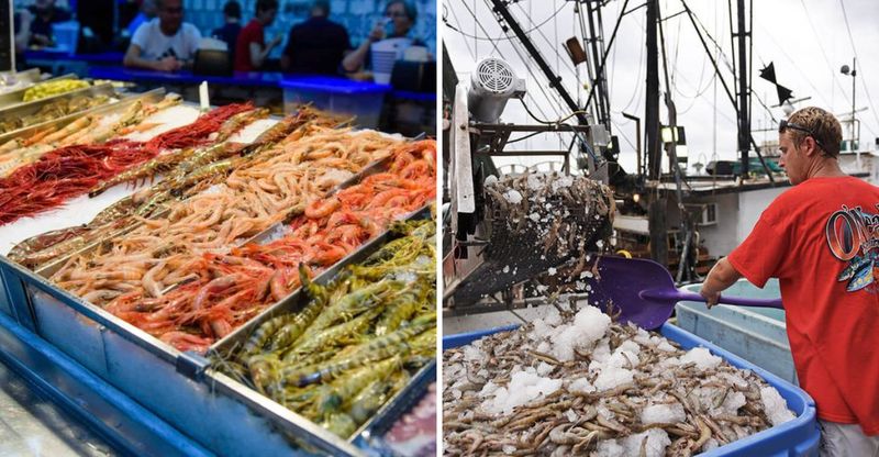 Seafood Markets for Road-Trippers