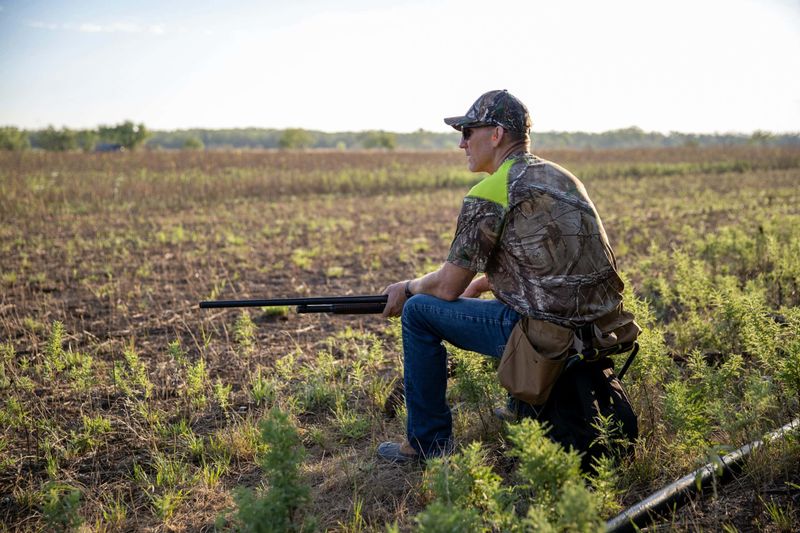 No Rabbit Hunting from a Motor Vehicle