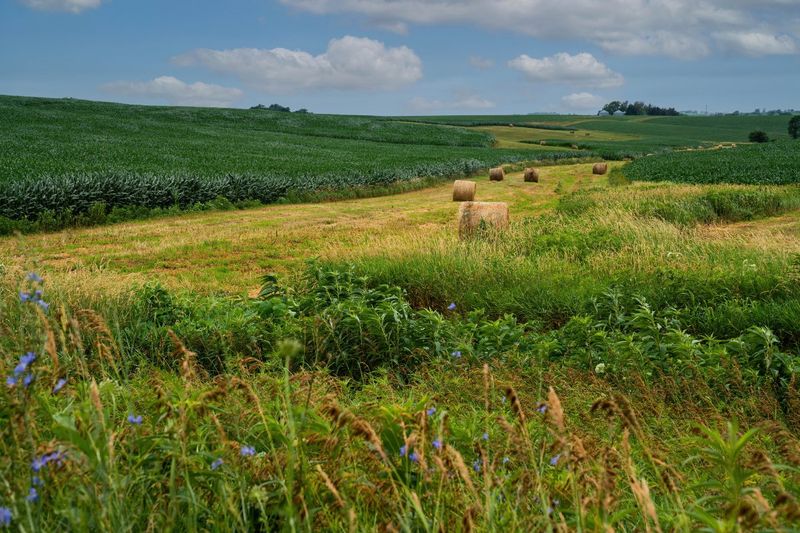 How Iowa Can Restore Its Peaceful Balance