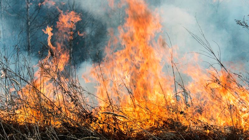 Wildfire Risk in Drier Areas