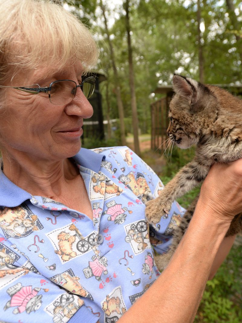 Permits for Injured Wild Animals