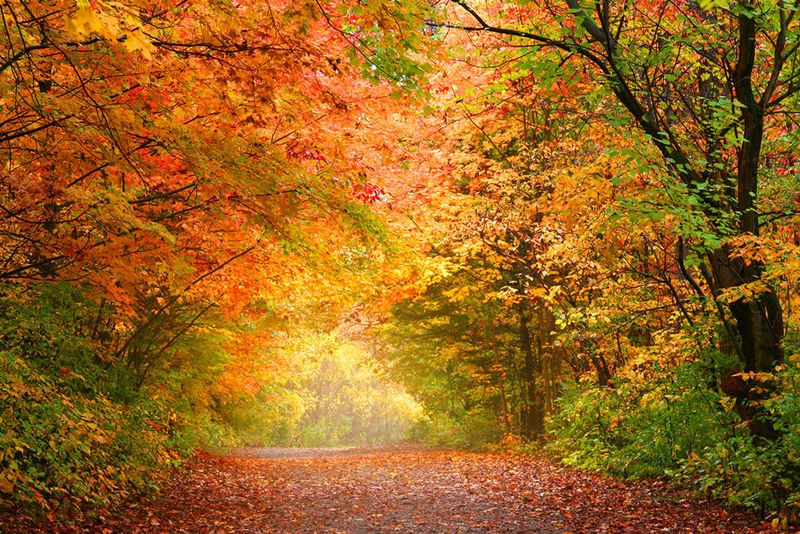 Your October Visit: Beautiful Autumn with Winter's Preview