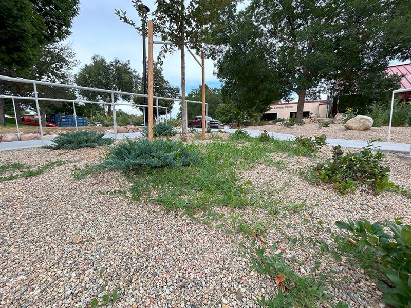 Throwing rocks or manure in public places is prohibited in certain city codes