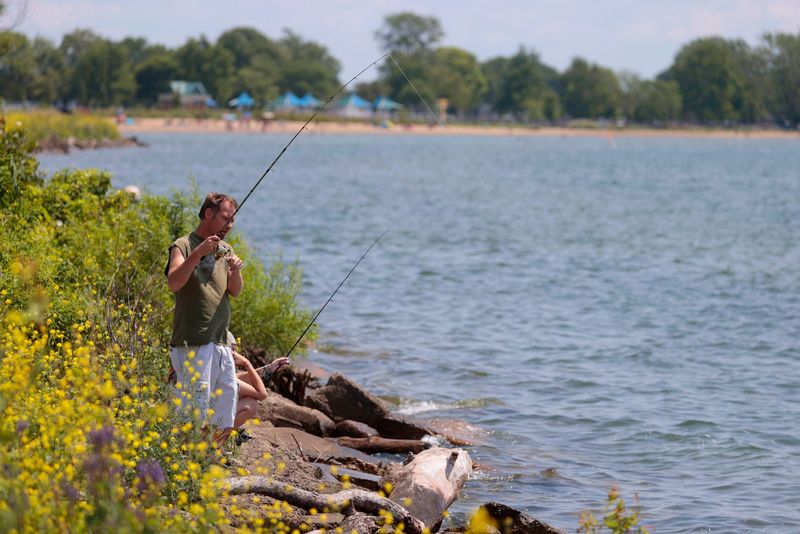 Unexpected Fishing Licenses
