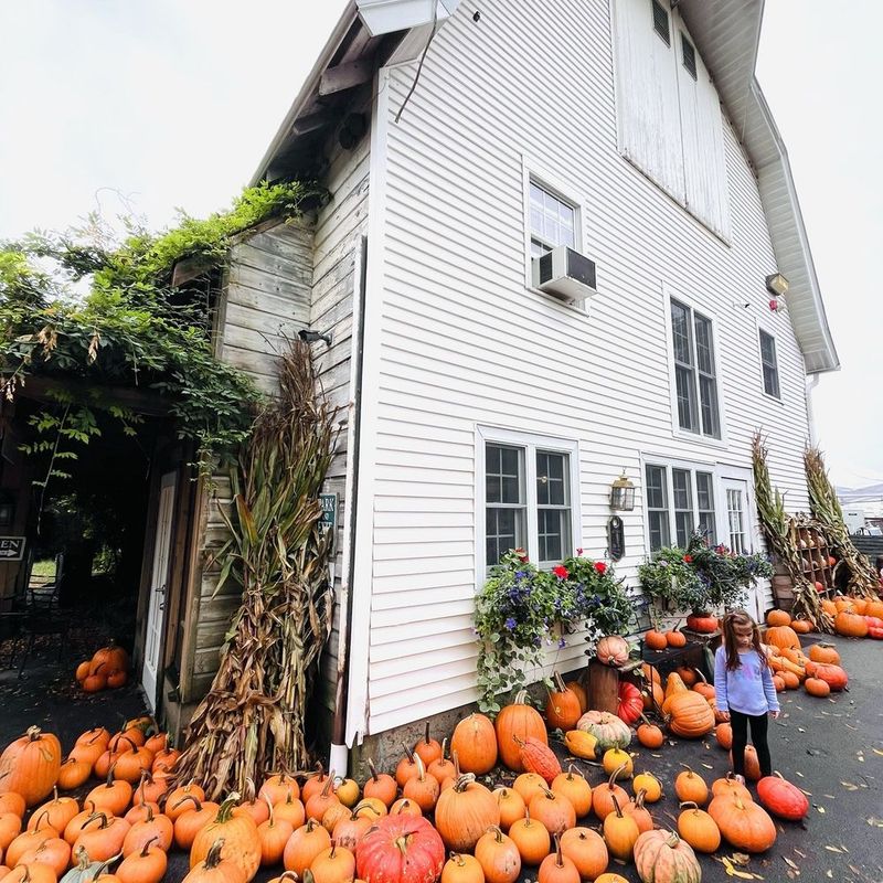 Salinger's Orchard (Brewster)