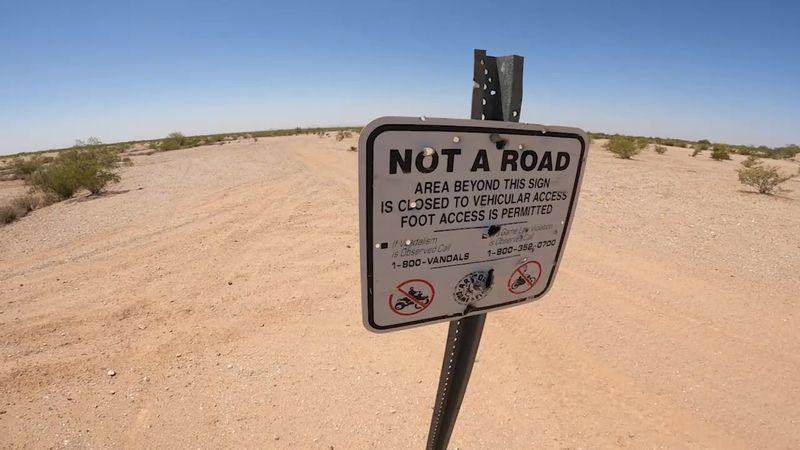Ecological Damage & Regulation Penalties