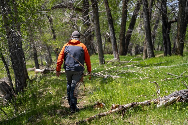 Sweet Grass Trail (Crazy Mountains)