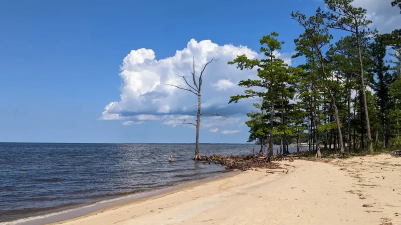Havelock