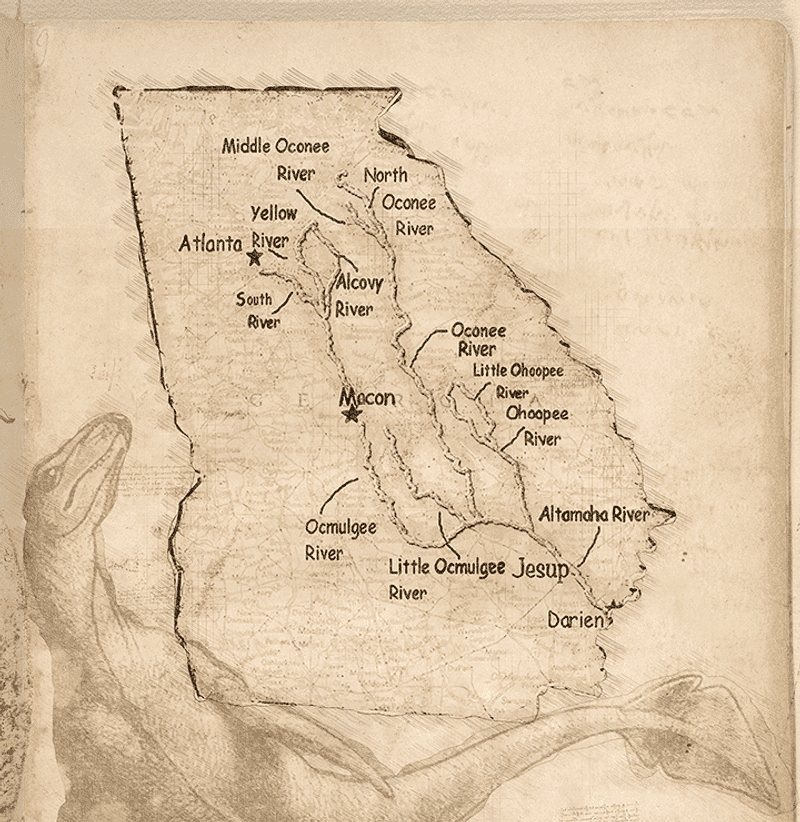 Darien – The Altamaha-ha