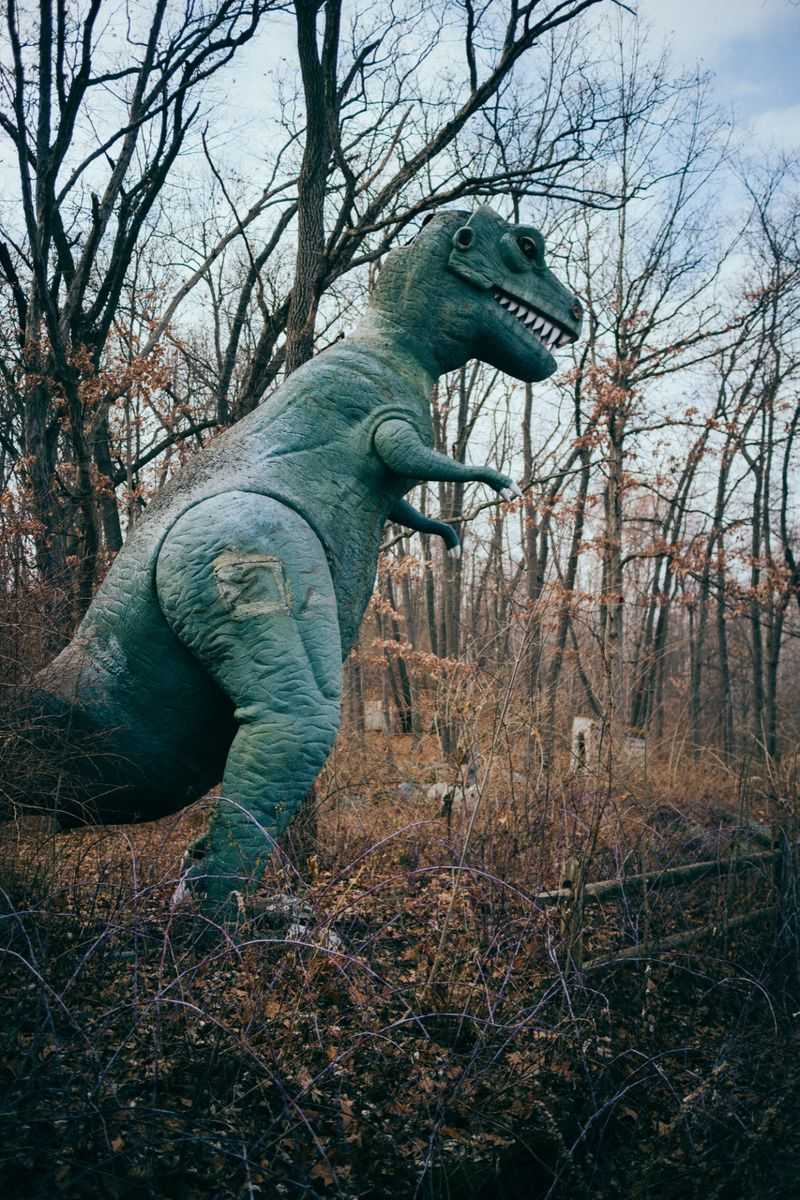 Prehistoric Forest Amusement Park