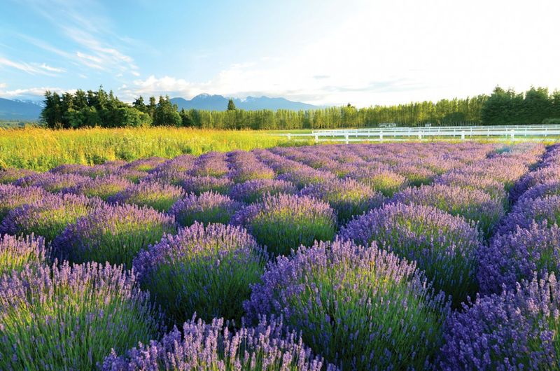 Sequim