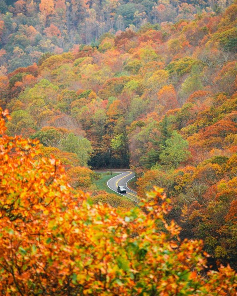 North Georgia Mountain Roads in Fall