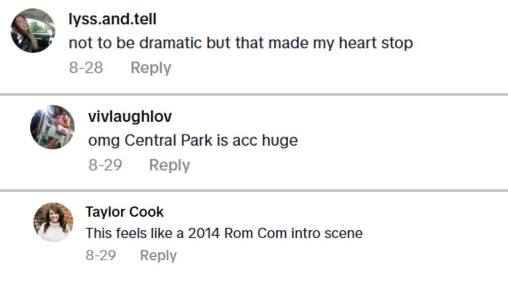 Emotional Turbulence In The Comments