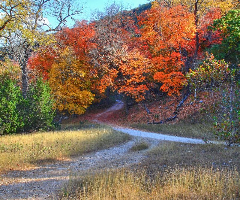 Lost Maples Trail, Vanderpool