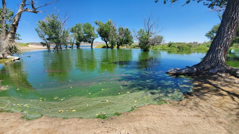 Illness from Contaminated Water