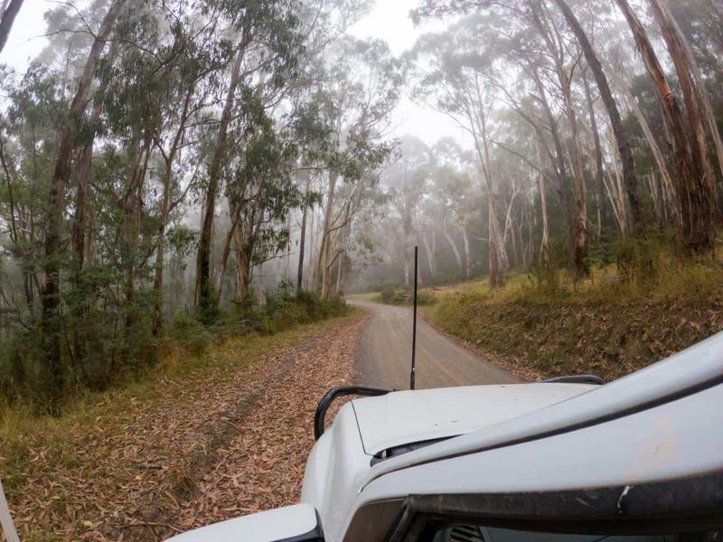 Why Locals Avoid It After Dark