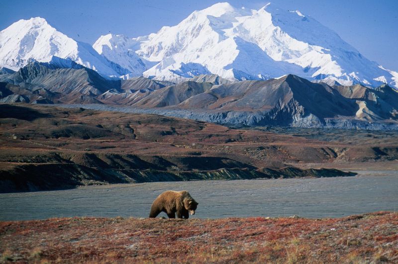 Rugged National Parks and Wilderness