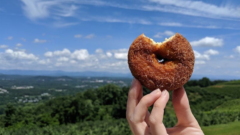 Savor Festival Food and Delicious Apple Treats