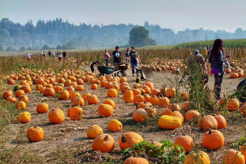 Opt for a Family-Friendly Visit During Daylight Hours