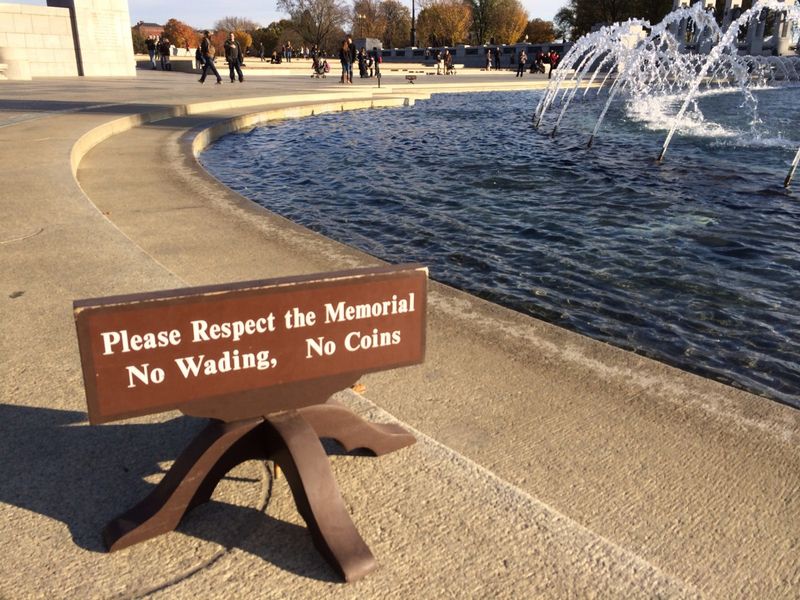 Jumping into Reflecting Pool Fountains
