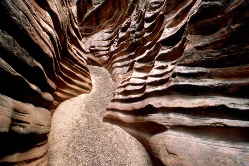 Ignoring flash-flood or weather warnings in slot canyons