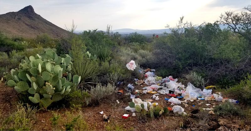 Litter and Trash Accumulation