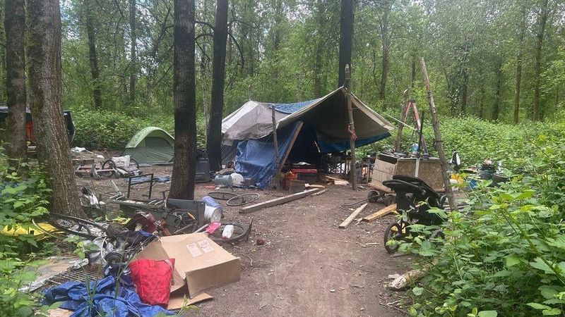 Most Common Tourist Violations Near Oregon Rivers