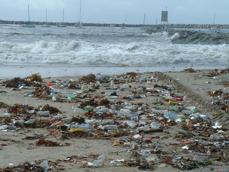 Marine Debris And Pollution